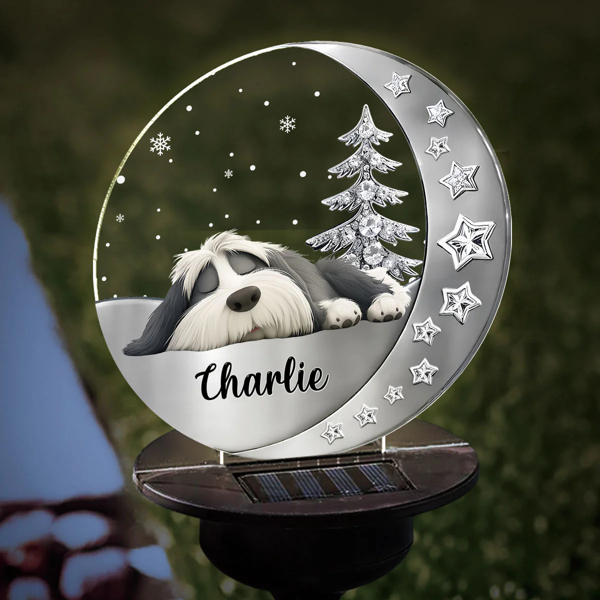 Thumbnail 5